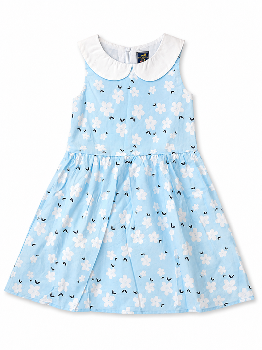 Blue Blossom Peter Pan Collar Dress